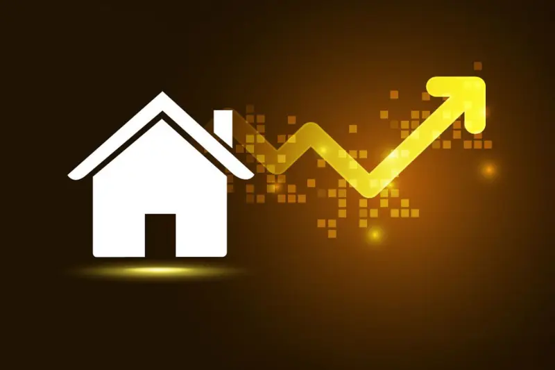 investment trends for beginners